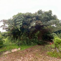 鳥栖市立石町　売地　119坪 画像5